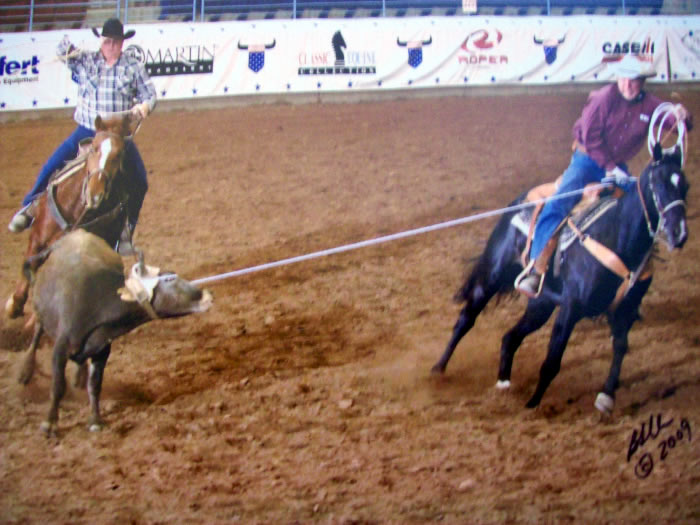 Custom Equine Design